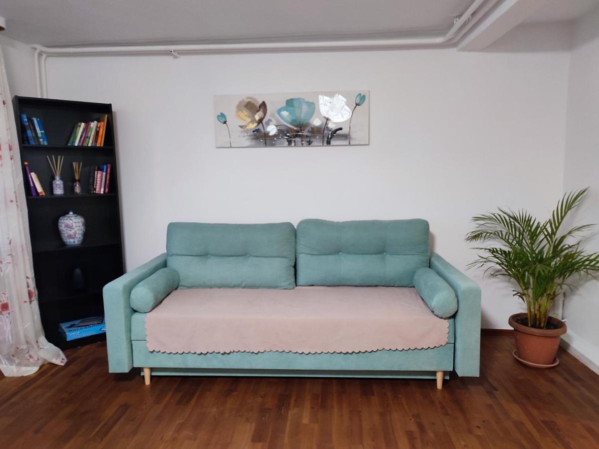Gemuetliche Zwei-Zimmer-Wohnung Am Regnitzufer بامبرج المظهر الخارجي الصورة